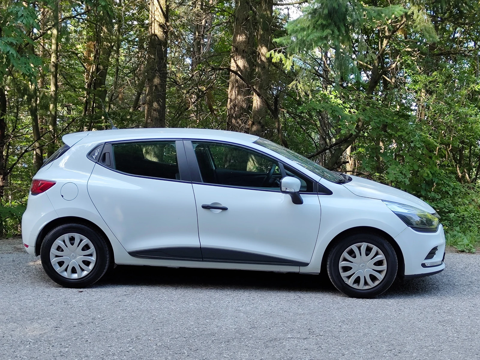 Renault Clio N1, снимка 7 - Автомобили и джипове - 55014318