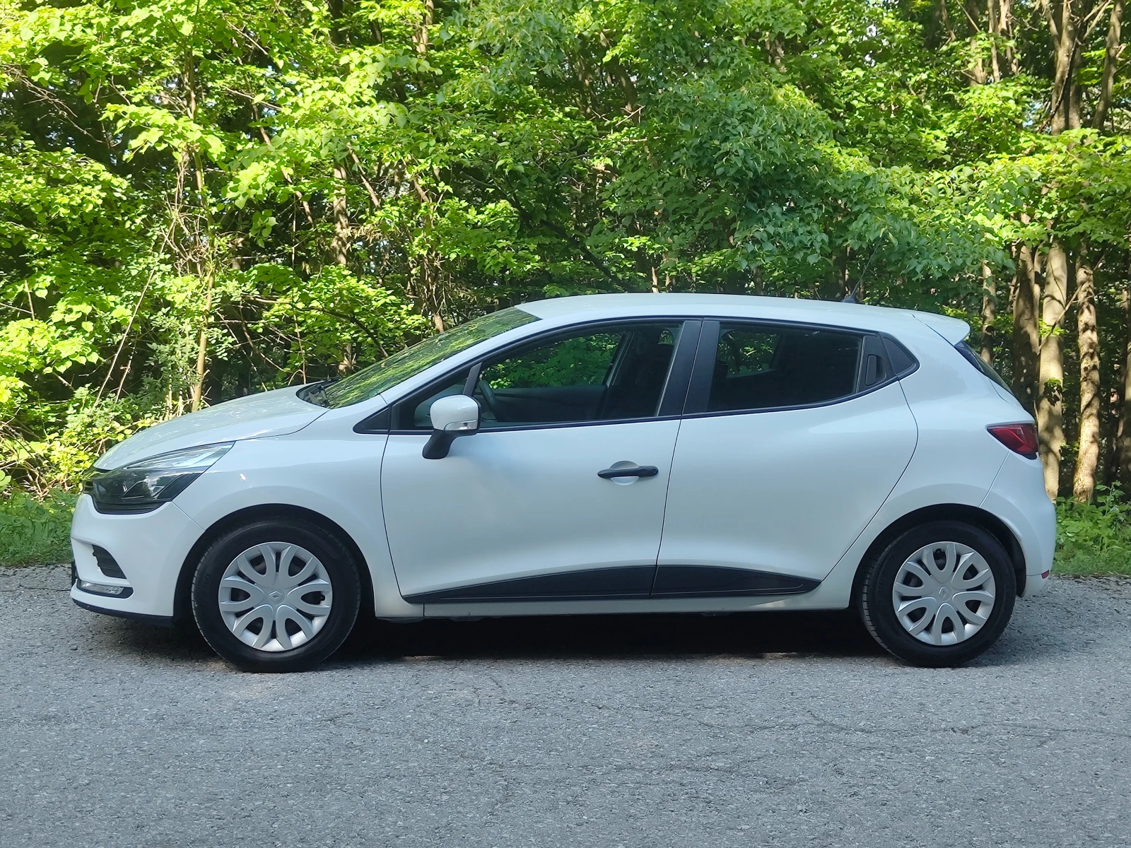 Renault Clio N1, снимка 3 - Автомобили и джипове - 55014318