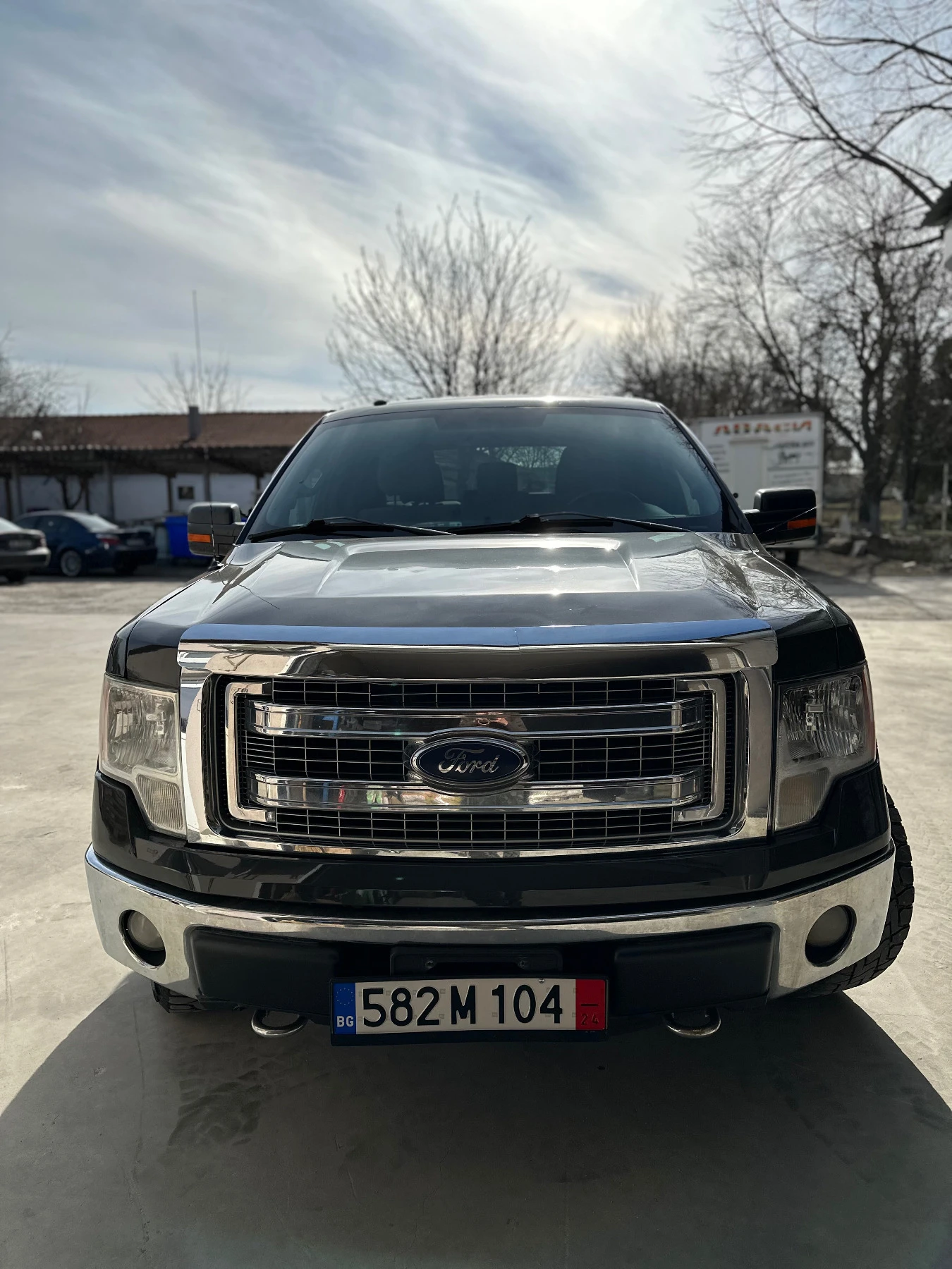 Ford F150 5.0 V8 - изображение 3