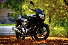     Honda Cbf 125