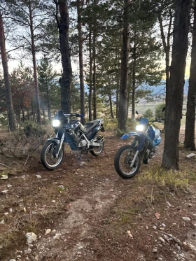 BMW F, снимка 3