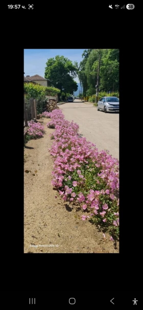 Citroen C4, снимка 4