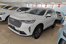 Haval H6 1.5T autogeorge.com, снимка 3