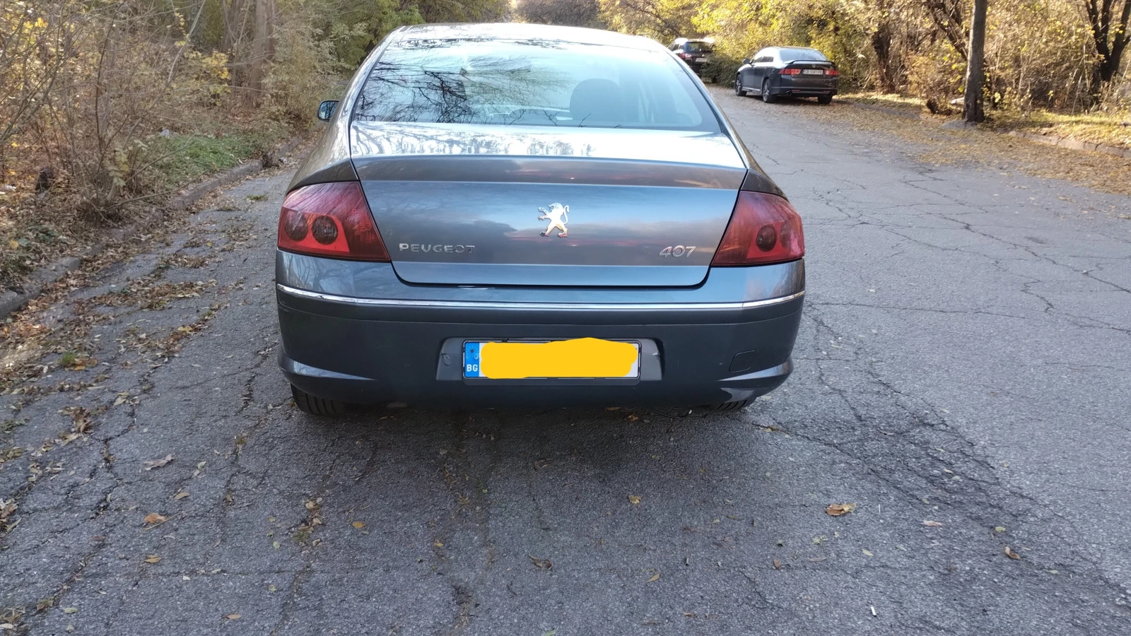 Peugeot 407 2.0 HDI 136кс 216000 седан - изображение 4