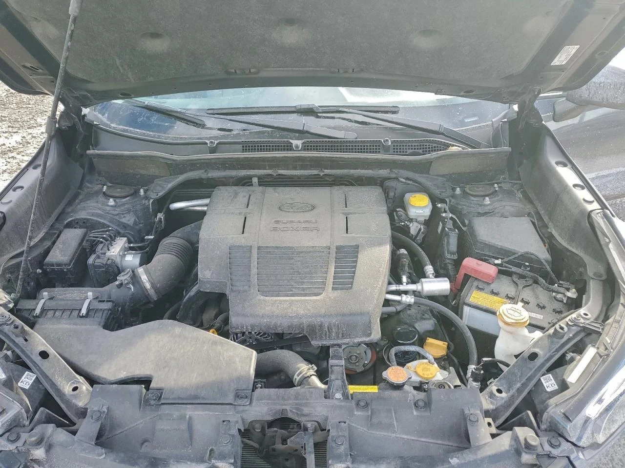 Subaru Forester PREMIUM | ���� �� �������� |  | Mobile.bg � ����������� 12