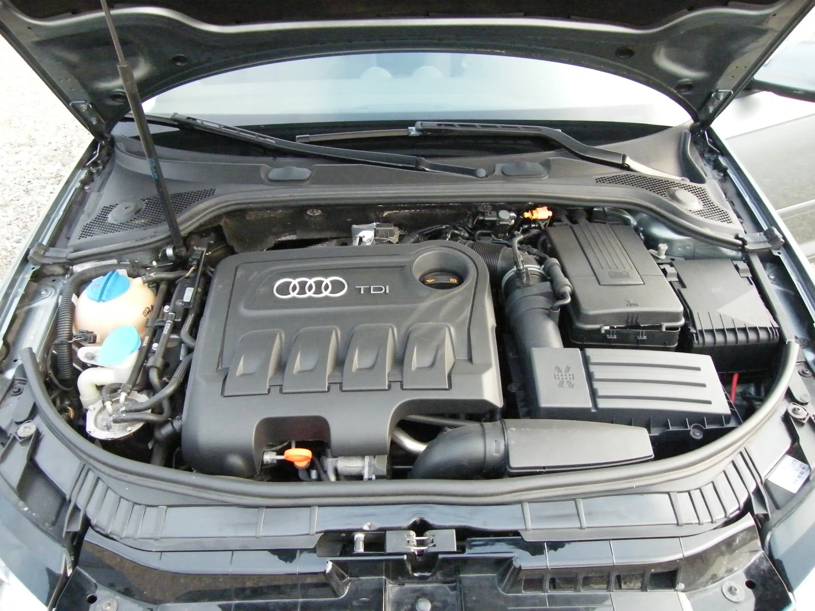 Audi A3 2.0TDI FACELIFT  | Mobile.bg — изображение 17