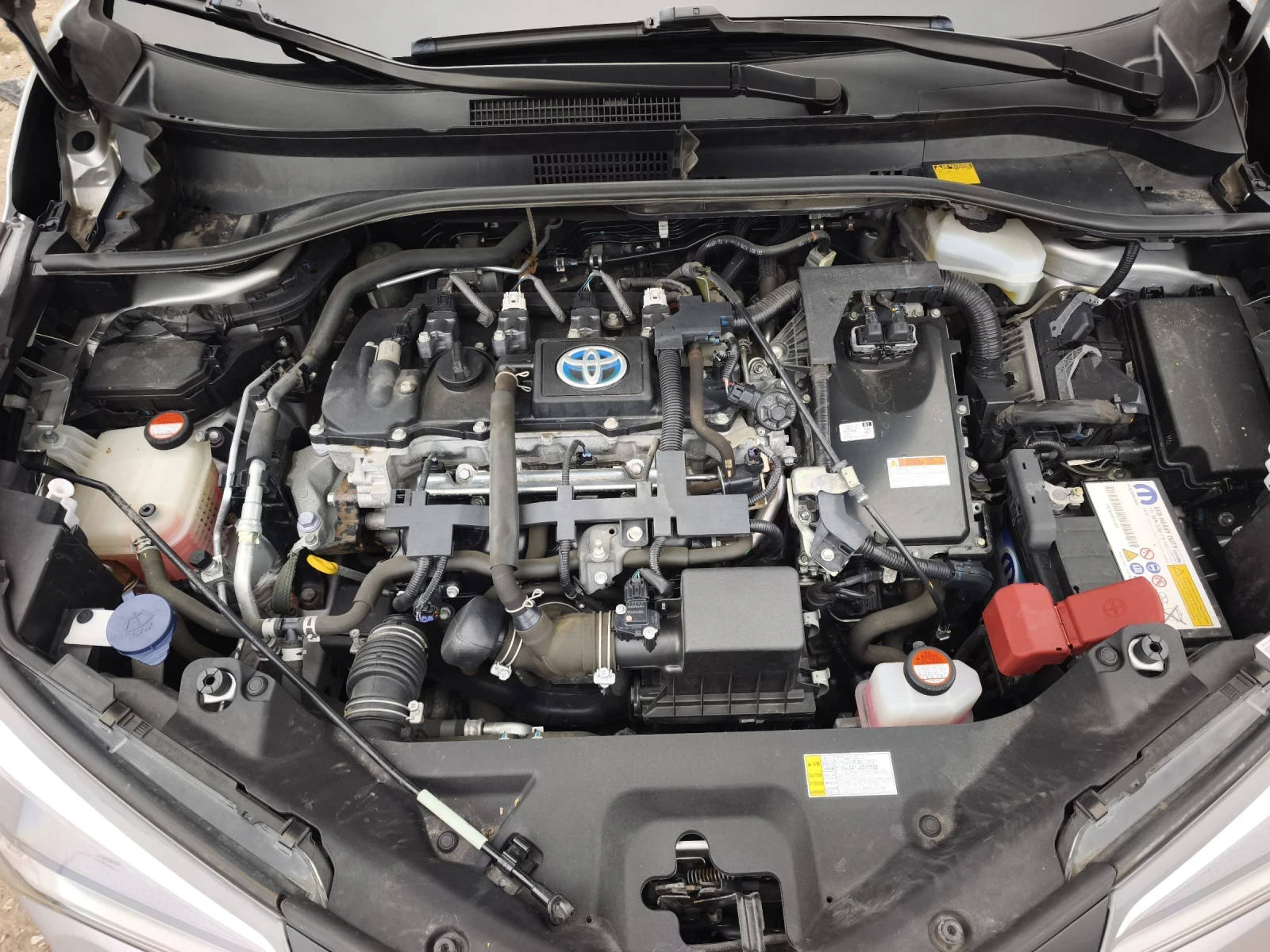 Toyota C-HR 1.8HYBRID LOUNGE FULL SERVICE IN TOYOTA NEW | Mobile.bg � ����������� 14