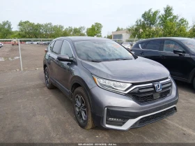 ������ Honda Accord