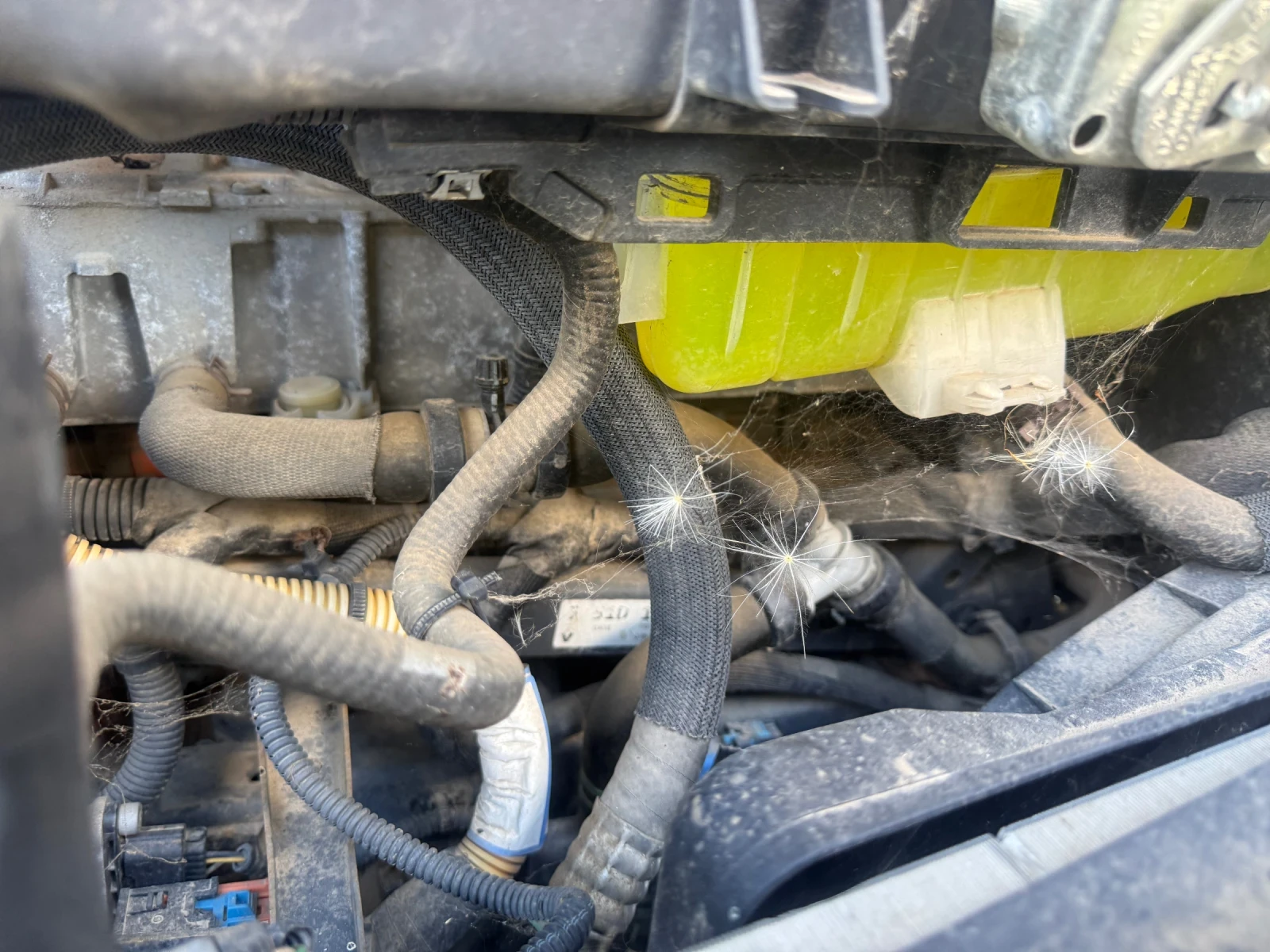 Renault Kangoo Електрик, снимка 8 - Автомобили и джипове - 56634042