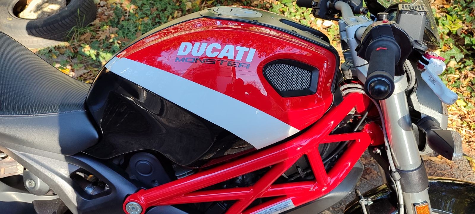Ducati Monster 796 - изображение 1