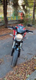 Ducati Monster 796 - изображение 7