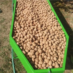 Специализирани машини Машини за лозя/овошки KADIOĞLU NUTMEC180ED, снимка 3