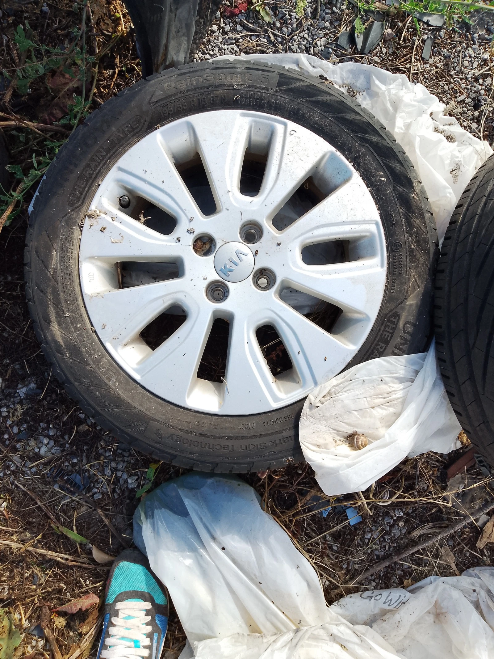    195/55R16  Kia Rio | Mobile.bg   4