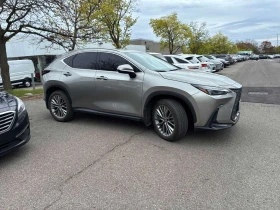 Lexus NX 350h * СЛЕДЕНЕ НА ЛЕНТИ * КАМЕРА * ОБДУХВАНЕ * ПАМЕТ, снимка 3