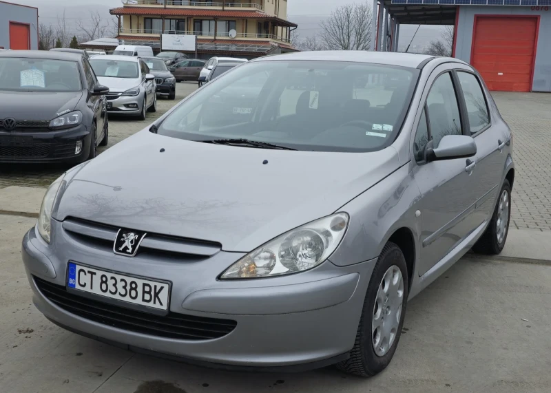 Peugeot 307 1.6i, снимка 1 - Автомобили и джипове - 49353073