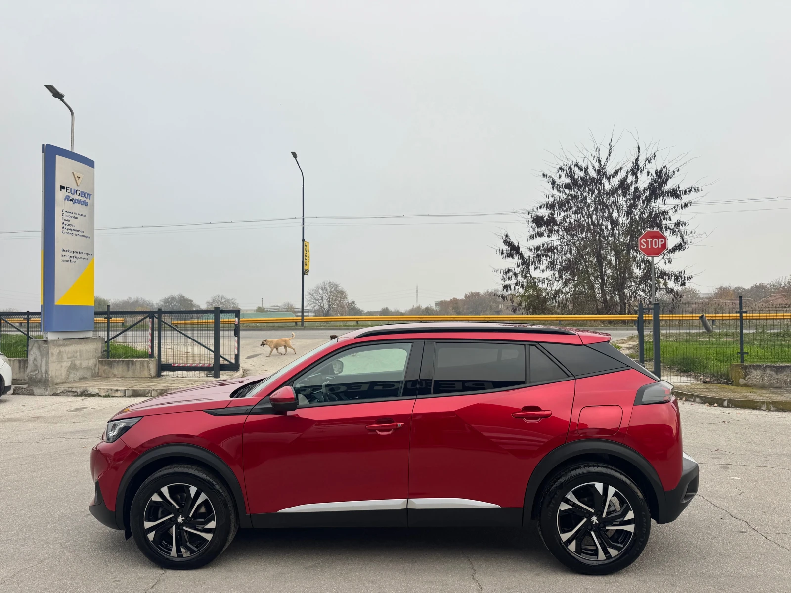 Peugeot 2008 virtual cockpit avtomat - изображение 2