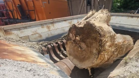 Специализирани машини Машини за дърводобив, снимка 3