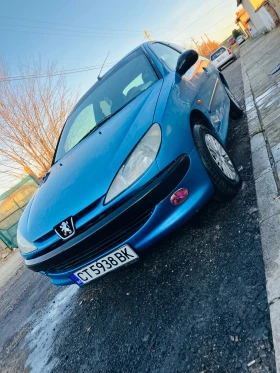     Peugeot 206