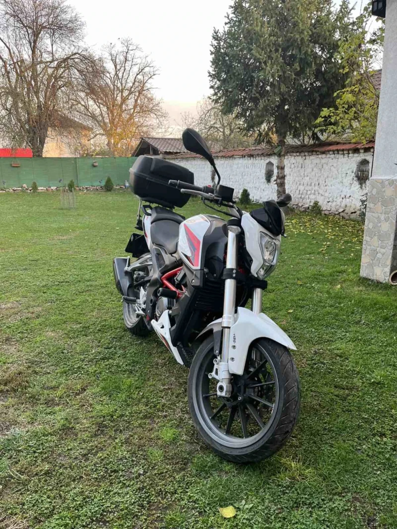 Benelli 250 250cc , снимка 4 - Мотоциклети и мототехника - 52693262