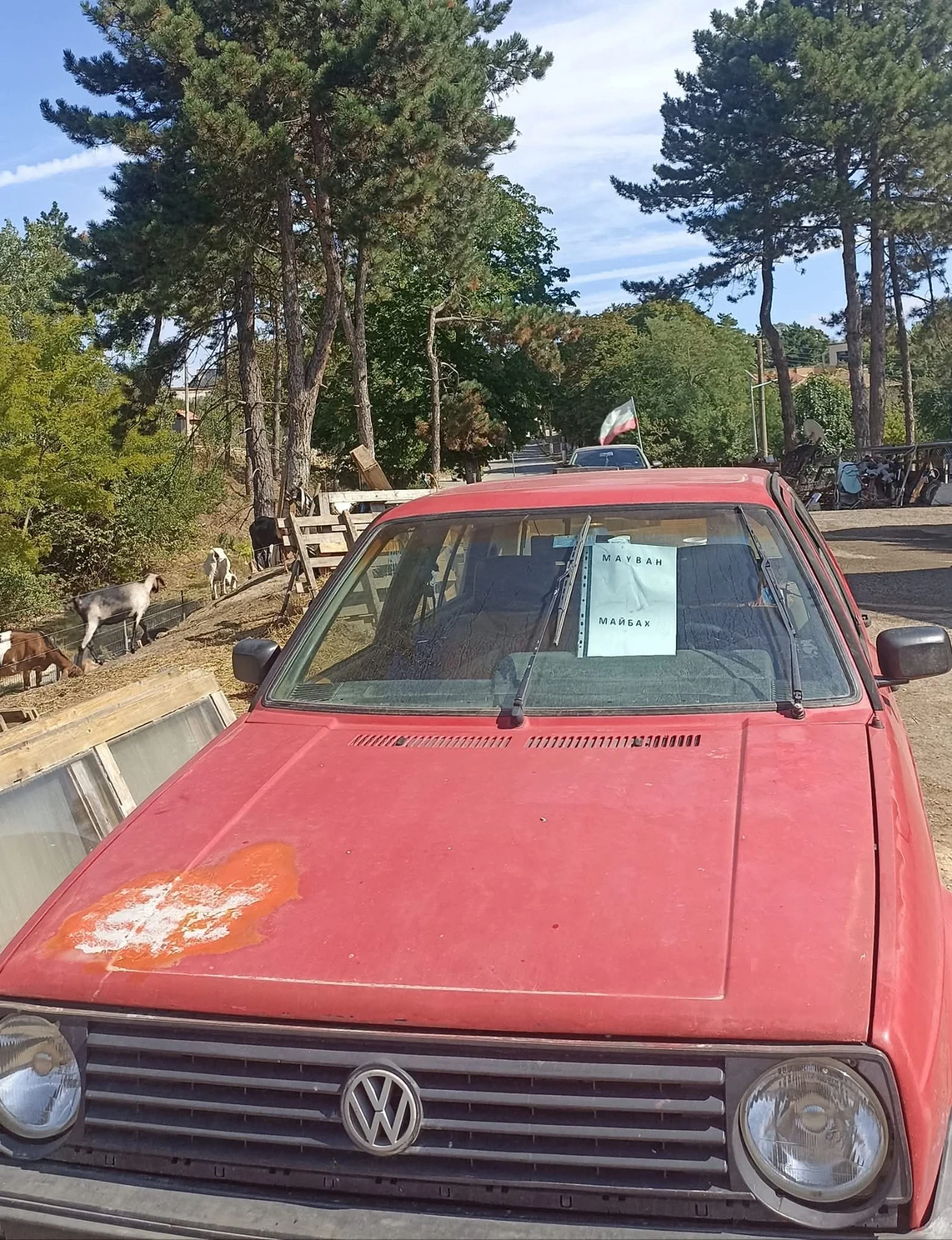 VW Golf