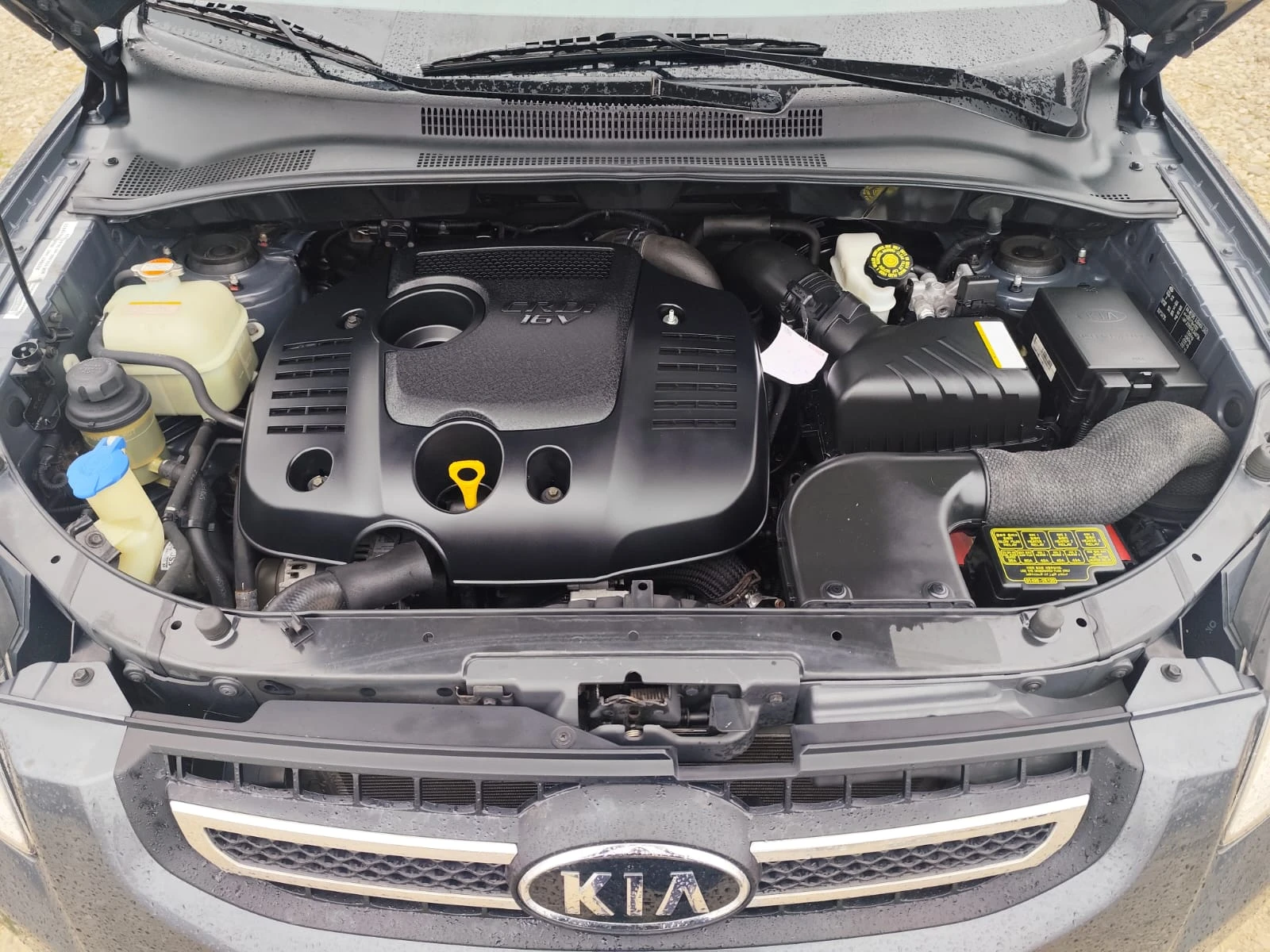 Kia Sportage 2.0  44 | Mobile.bg   15