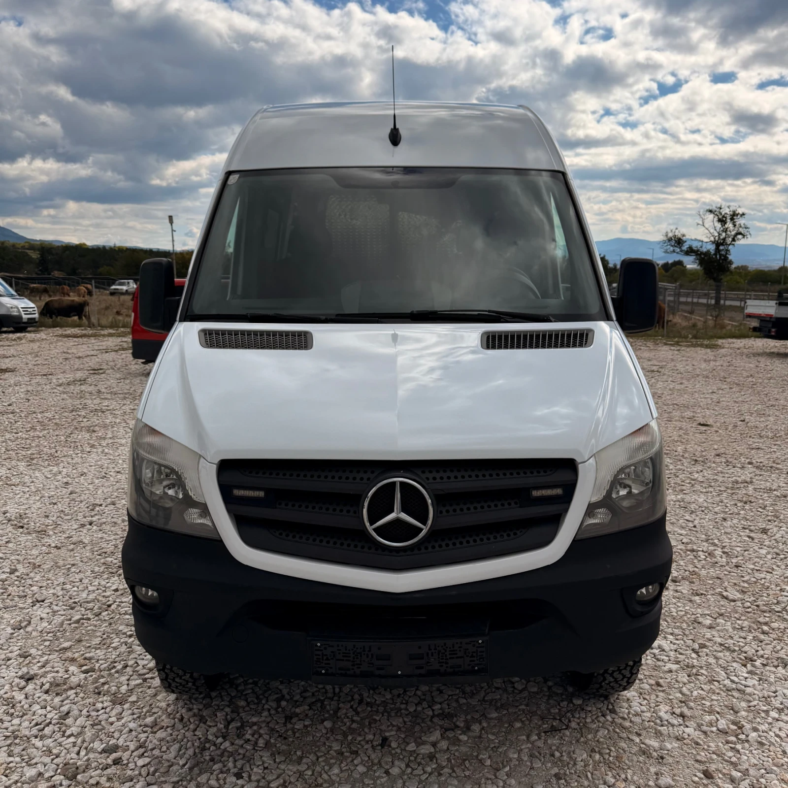 Mercedes-Benz Sprinter 316 4X4-EURO6-Климатик-2017г - изображение 3