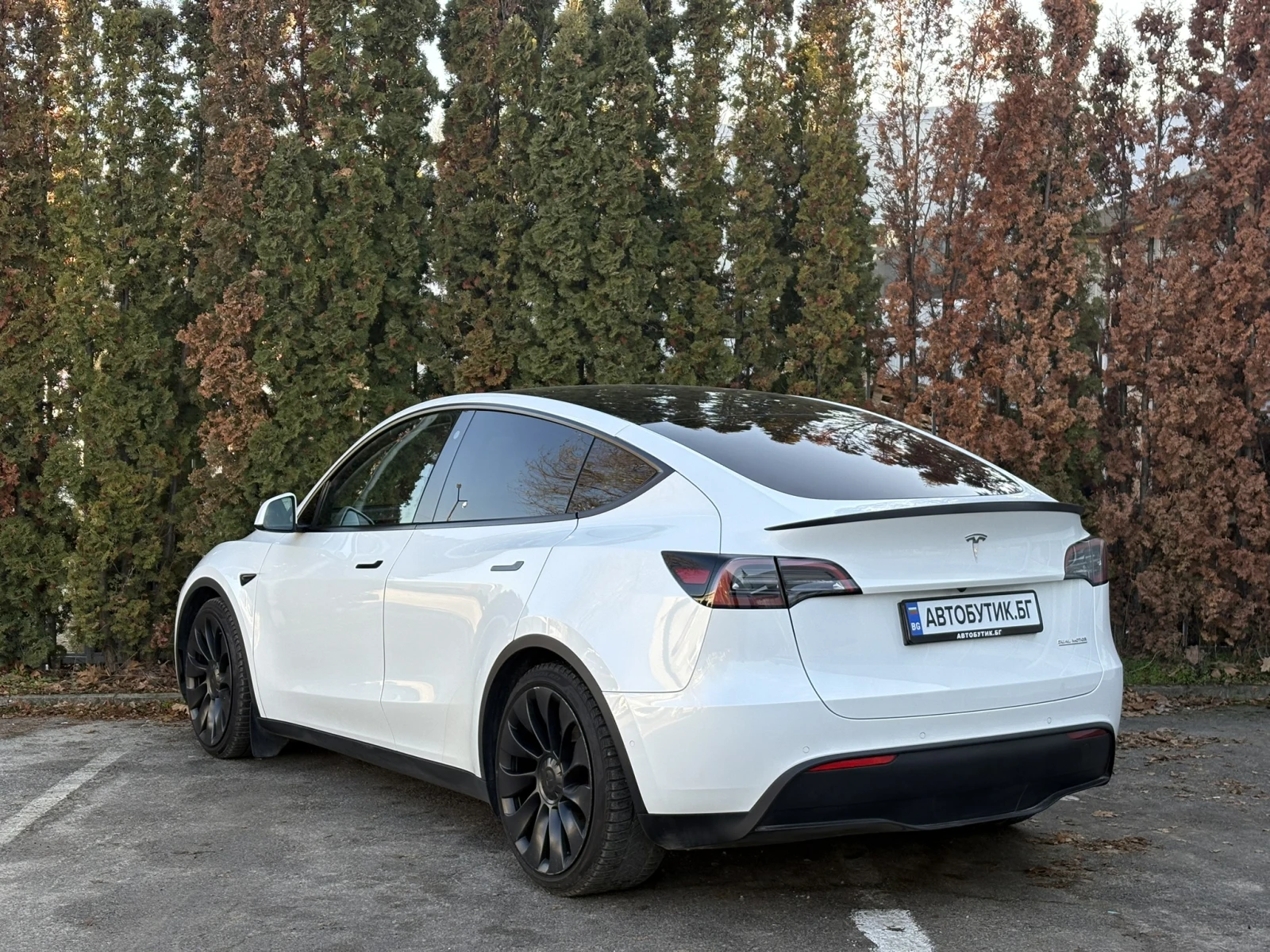 Tesla Model Y Long Range AWD PERFORMANCE - изображение 6