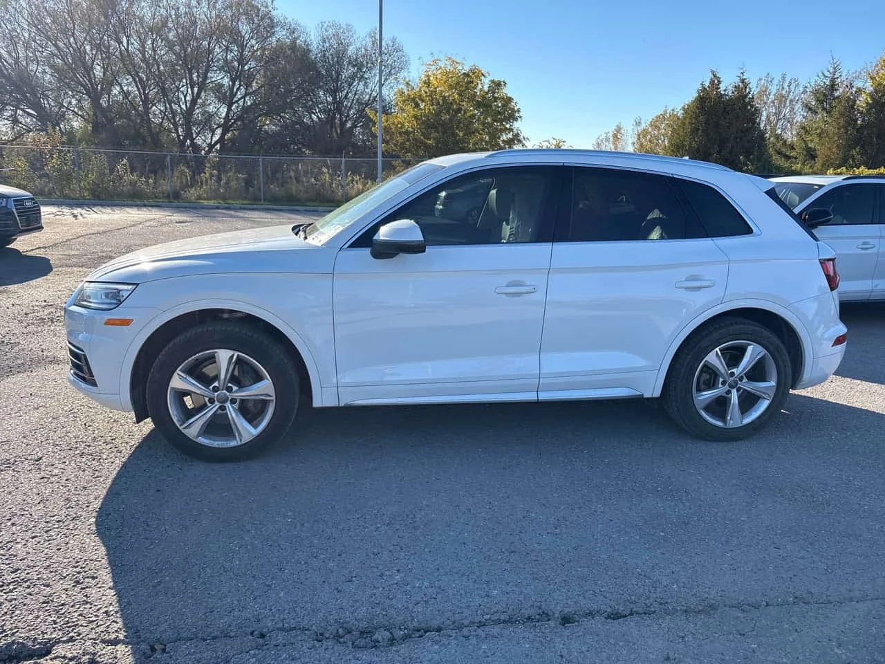 Audi Q5 * Progressiv * CARFAX * ЦЕНА ДО БГ, снимка 2 - Автомобили и джипове - 56624227