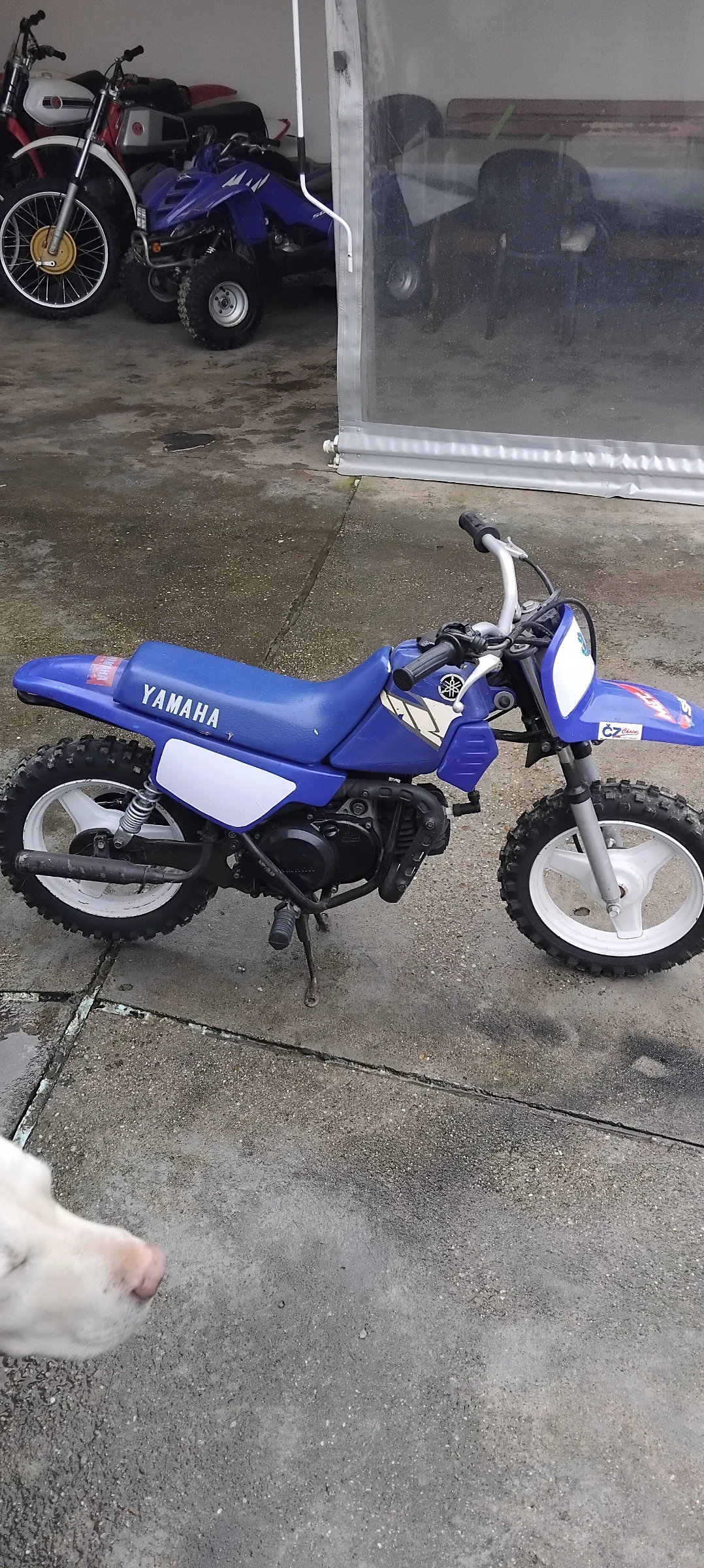 Yamaha PW