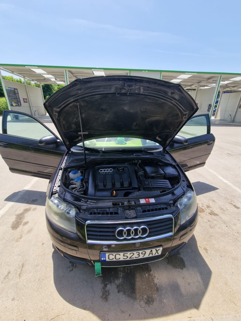 Audi A3, снимка 13 - Автомобили и джипове - 46217919