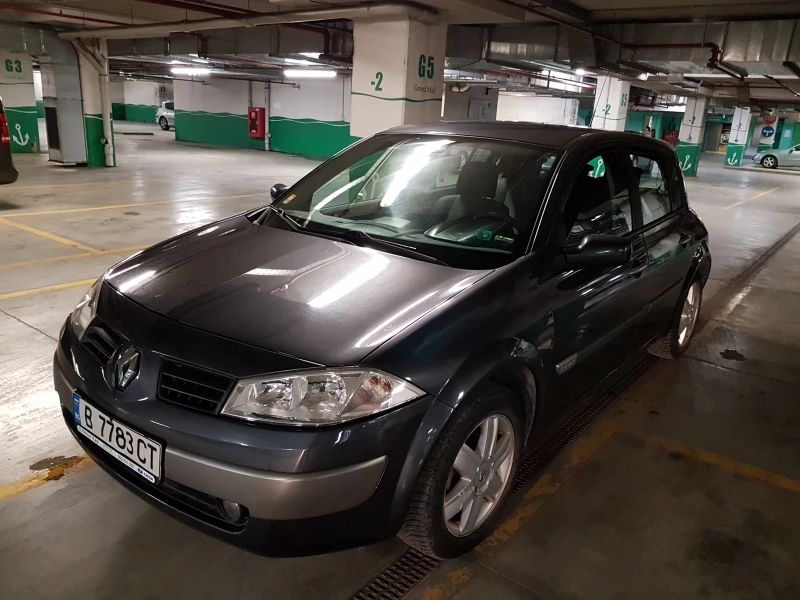 Renault Megane II, снимка 1 - Автомобили и джипове - 48925925