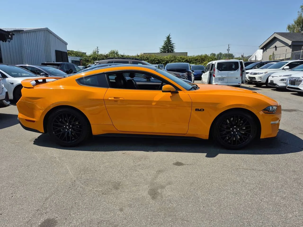 Ford Mustang GT Premium / ОБДУХВАНЕ / CARFAX / АВТОКРЕДИТ, снимка 3 - Автомобили и джипове - 55612831