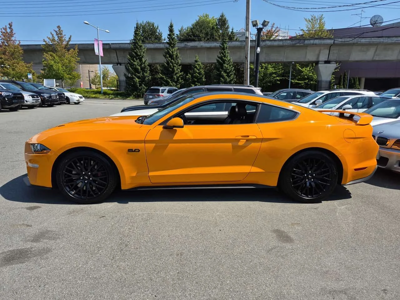 Ford Mustang GT Premium / ОБДУХВАНЕ / CARFAX / АВТОКРЕДИТ, снимка 2 - Автомобили и джипове - 55612831