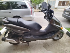     Yamaha Majesty