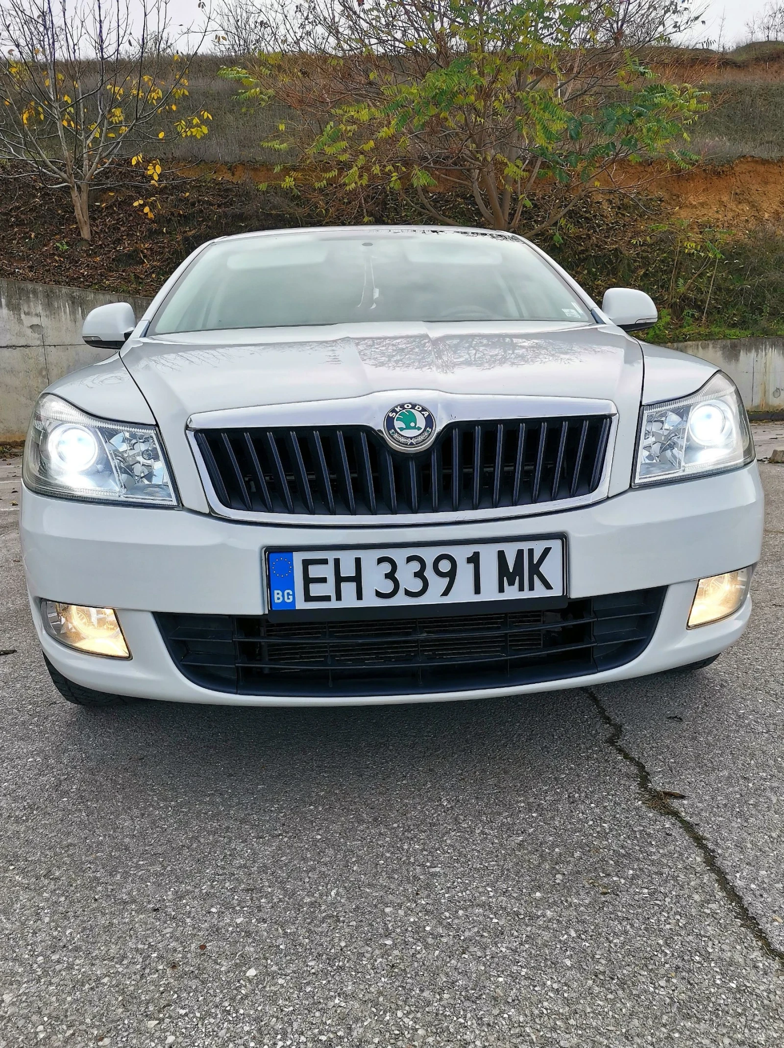 Skoda Octavia 2012 105  | Mobile.bg   2