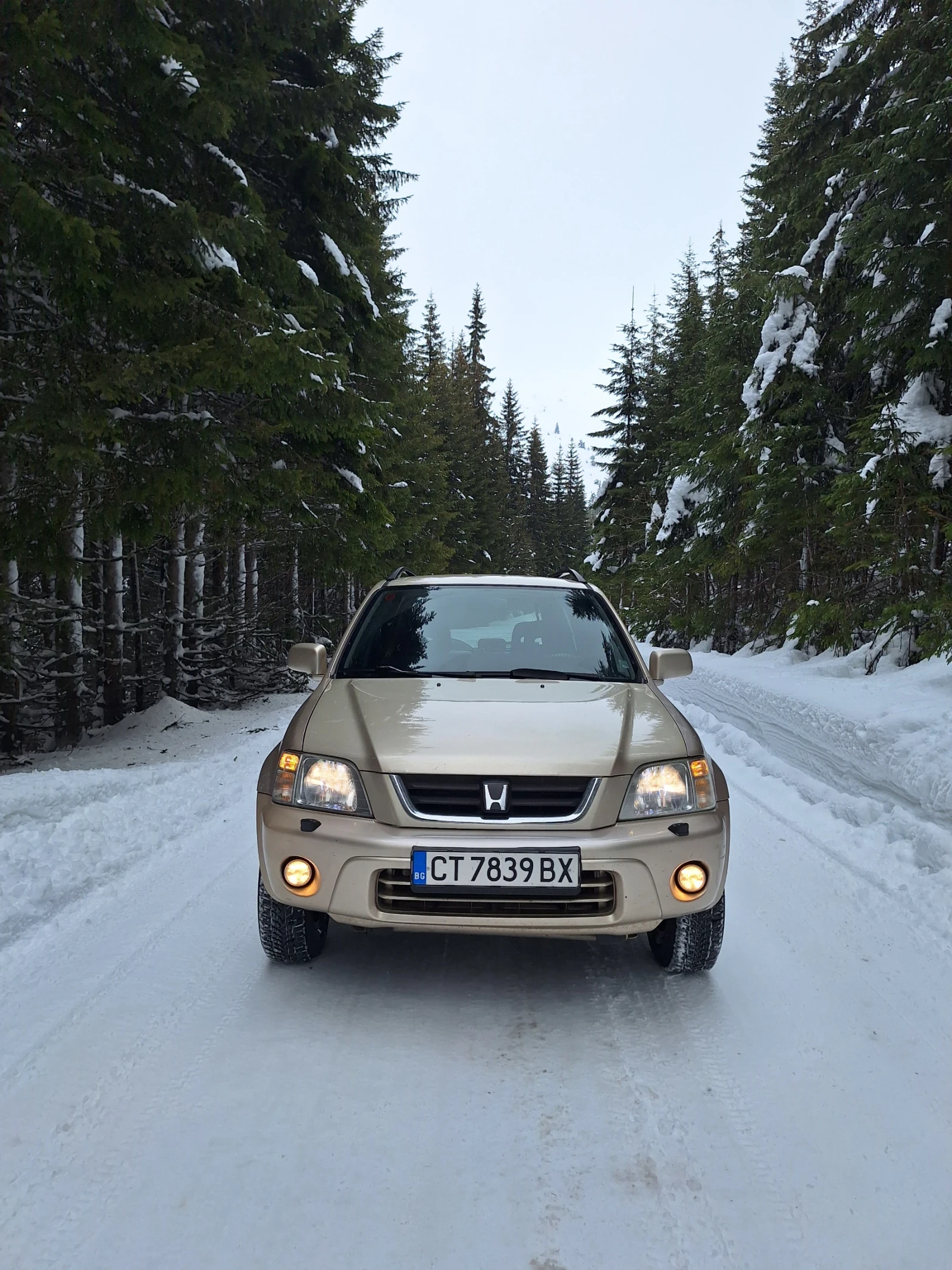 Honda Cr-v, снимка 3 - Автомобили и джипове - 54335642