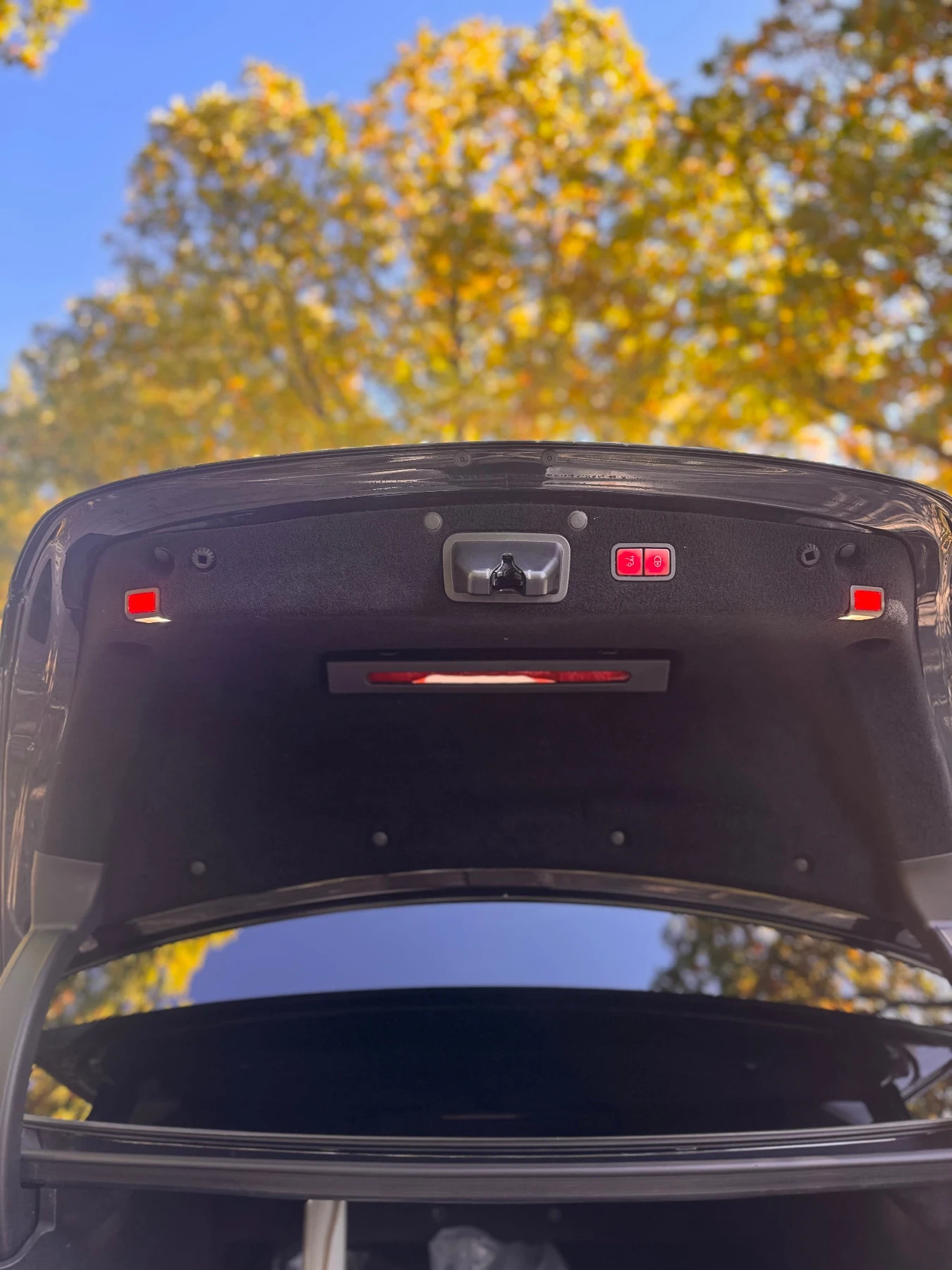 Mercedes-Benz S 350 ��� ���� S350d 4 matic DESIGNO Edition1 | Mobile.bg � ����������� 17