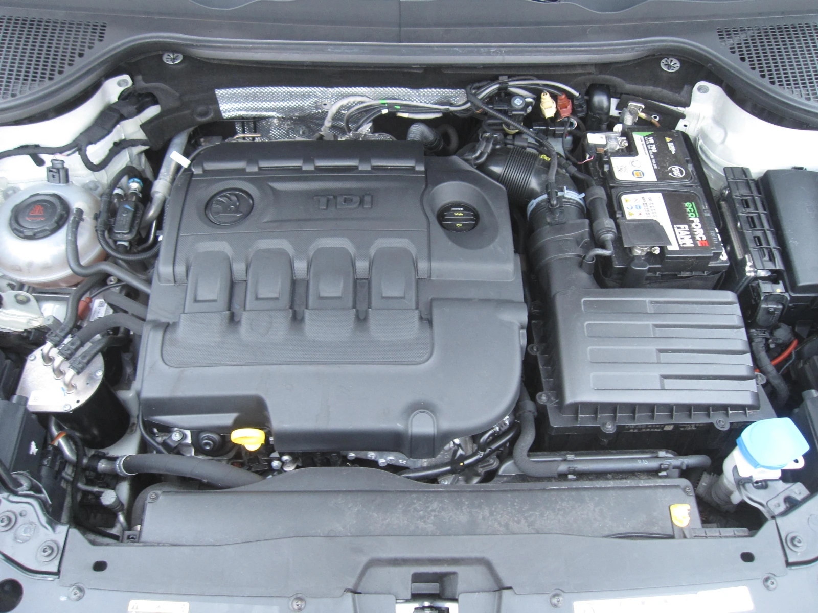 Skoda Karoq 2, 0-TDI 4x4-, Navi, ,  | Mobile.bg   15