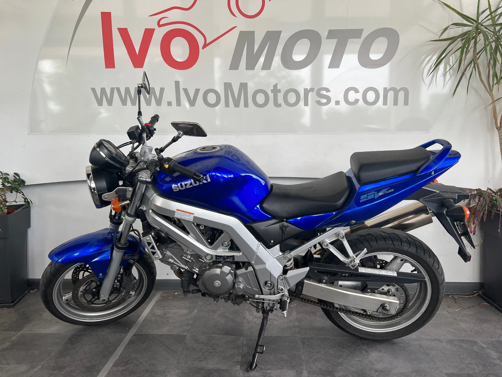 Suzuki SV  - изображение 3