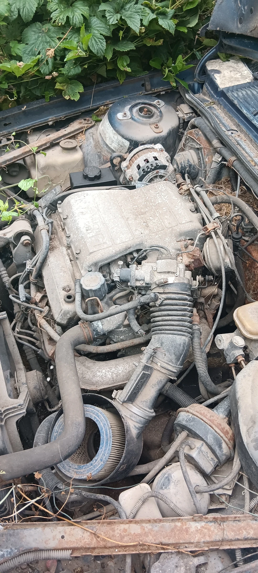 Chevrolet Gmc Целебрайт - изображение 2