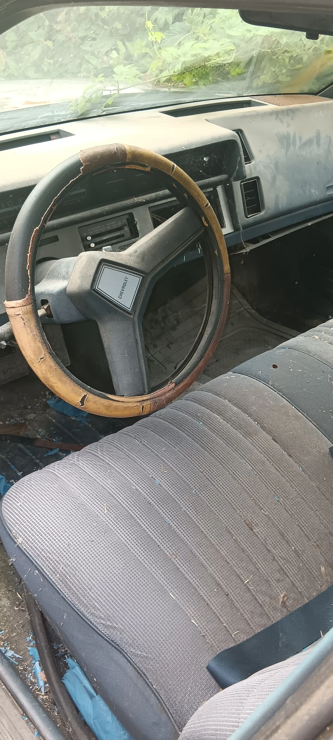 Chevrolet Gmc Целебрайт - изображение 3