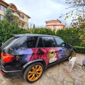 BMW X5M xdrive, М пакет(без алуминиево стъпало), снимка 17