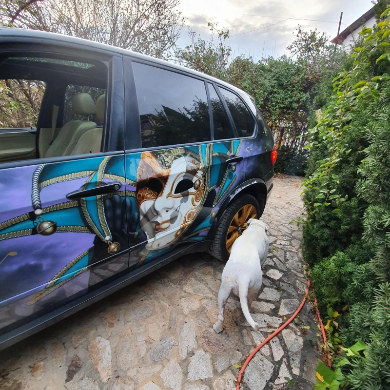 BMW X5M xdrive, М пакет(без алуминиево стъпало), снимка 13 - Автомобили и джипове - 52462909