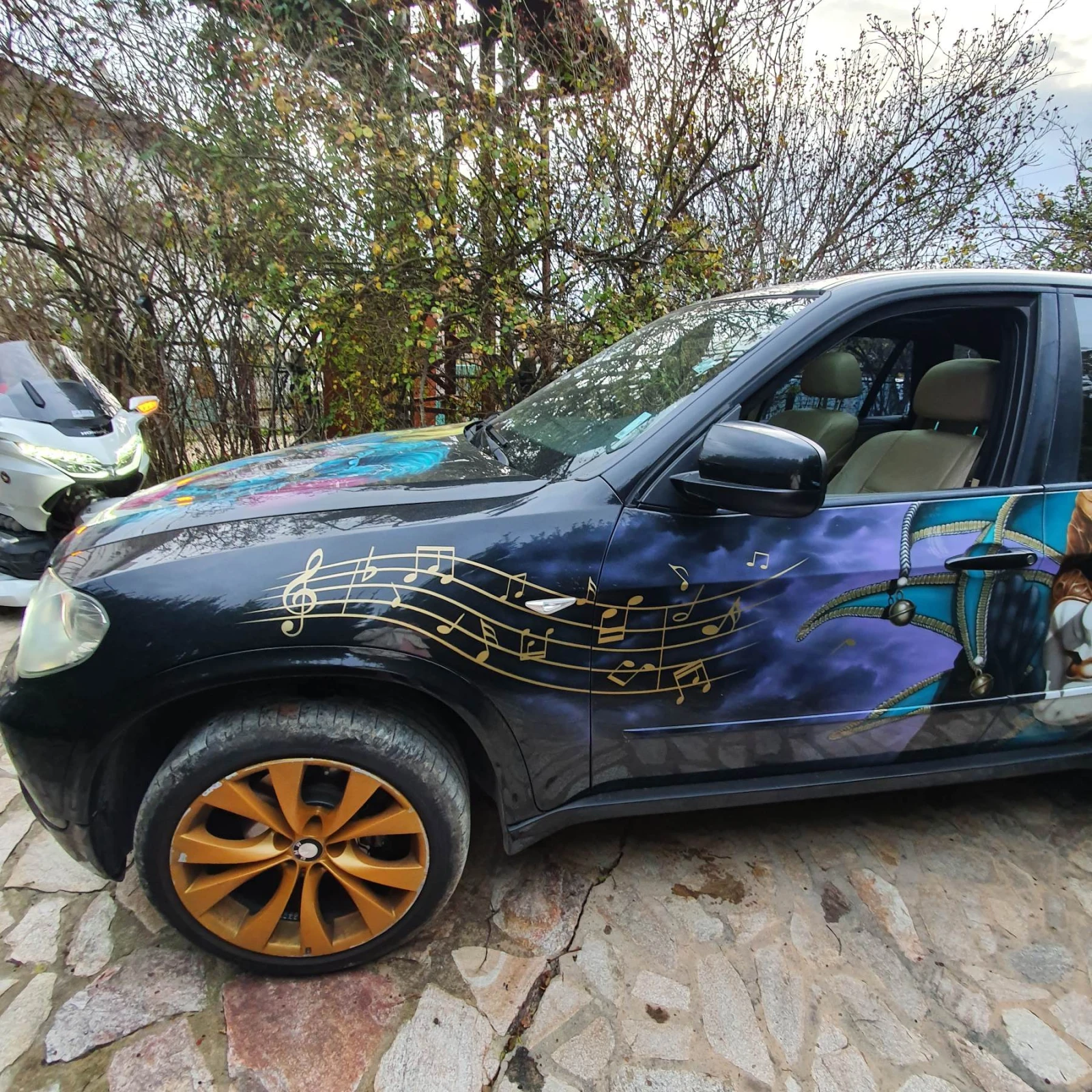 BMW X5M xdrive, М пакет(без алуминиево стъпало) - изображение 7