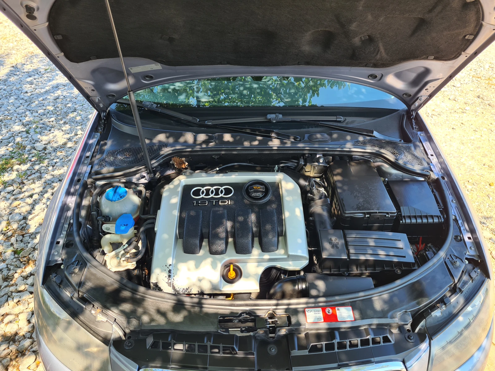 Audi A3 1.9TDI 105kc Sport  | Mobile.bg   16