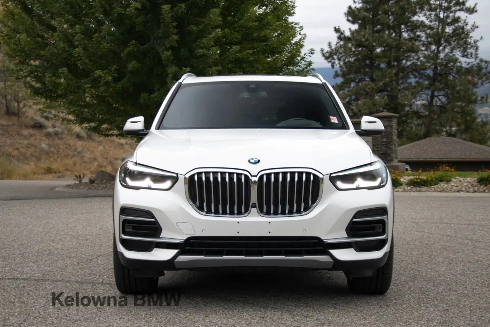 BMW X5 xDrive40i Premium pkgЦена до България & АвтоКредит, снимка 3 - Автомобили и джипове - 56145881