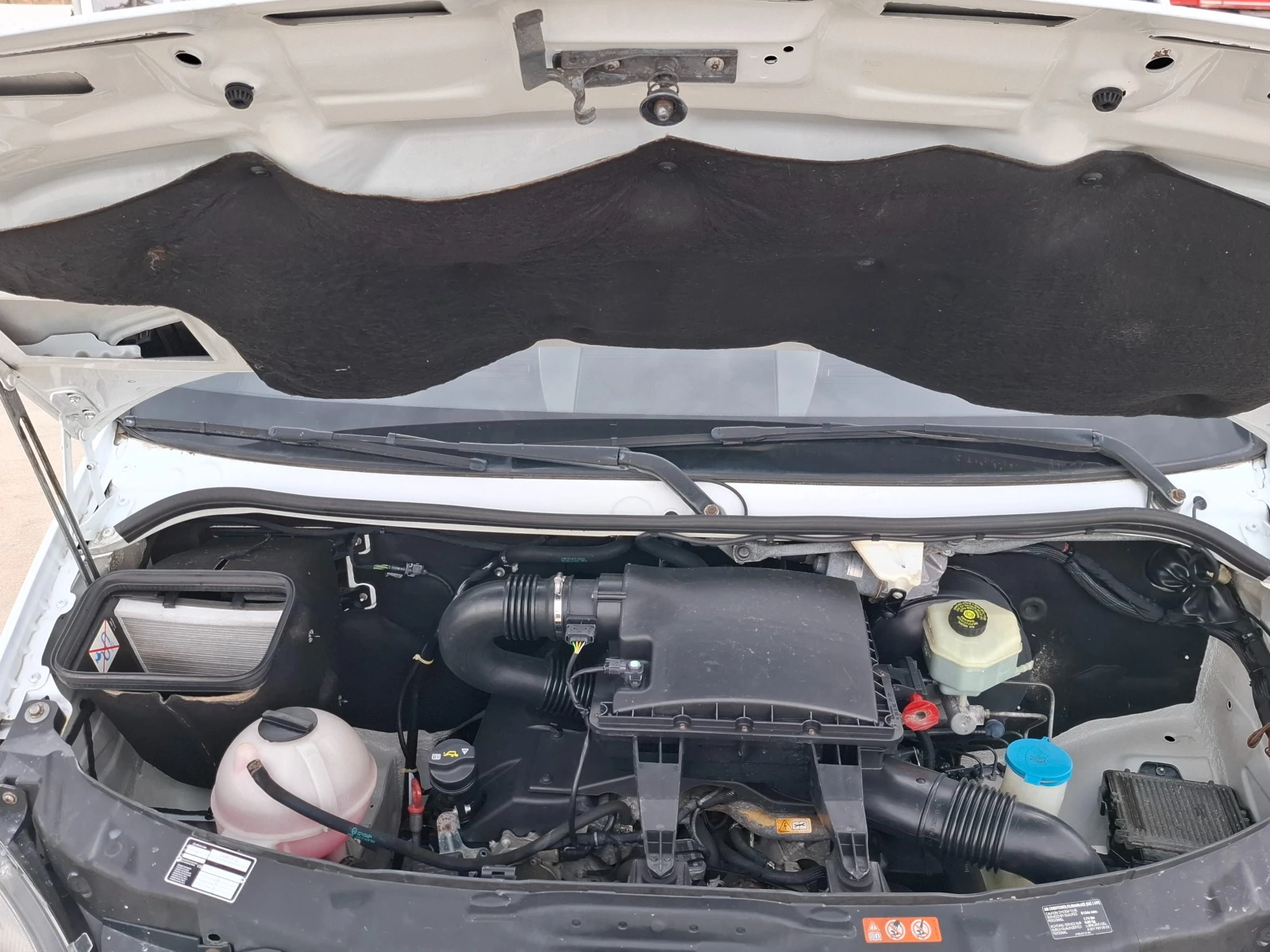 Mercedes-Benz Sprinter 318 Maxi/4.53m/ | Mobile.bg   12