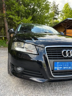 Audi A3 1.6 TDI | Mobile.bg    7