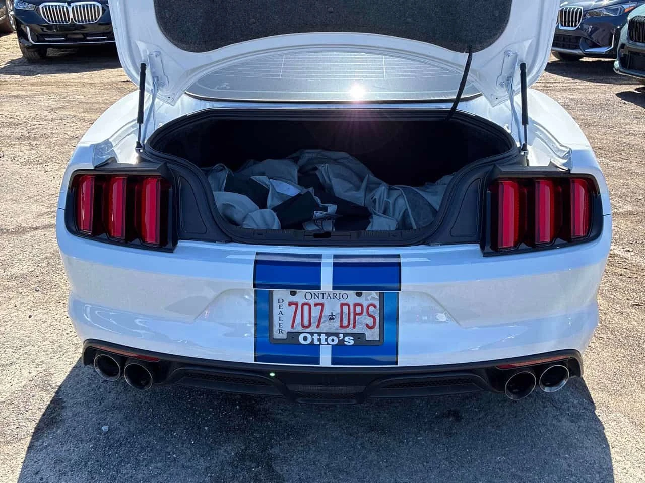 Ford Mustang SHELBY * ГЛАВНО ПРЕДСТАВИТЕЛСТВО НА BMW* , снимка 15 - Автомобили и джипове - 55047206