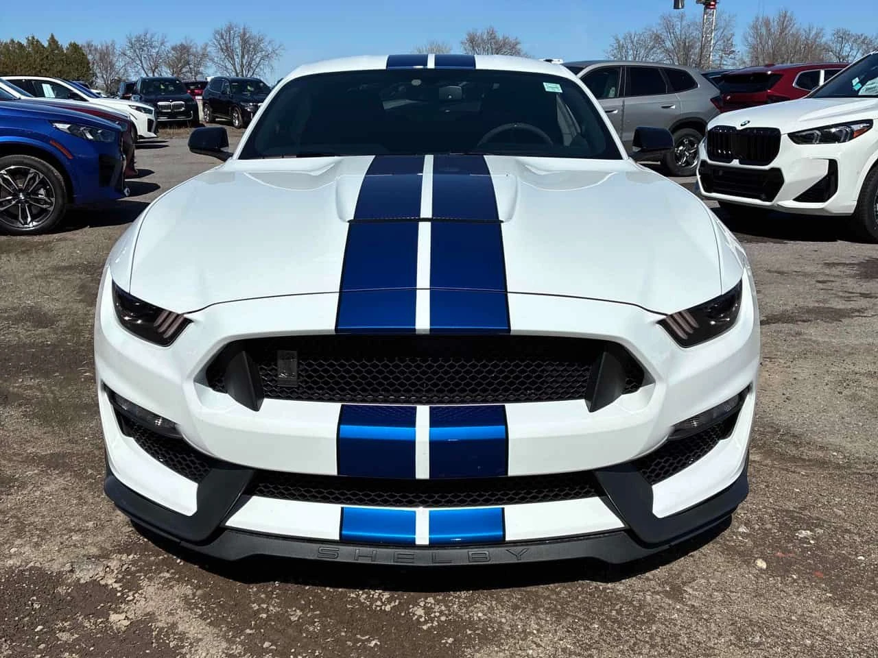 Ford Mustang SHELBY * ГЛАВНО ПРЕДСТАВИТЕЛСТВО НА BMW* , снимка 2 - Автомобили и джипове - 55047206